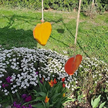 Semesterbostad House Of Magic