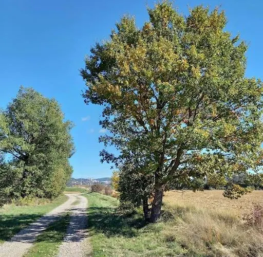 House Of Magic * 그뢰오레방