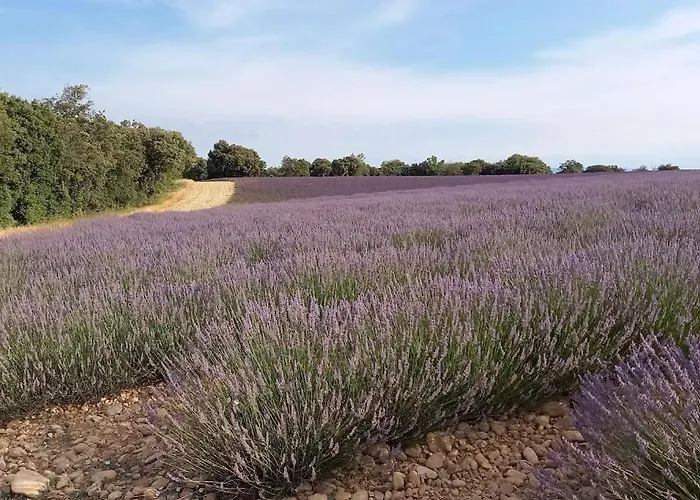 House Of Magic Hébergement de vacances *